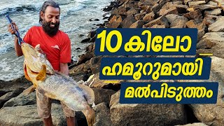 10കിലോ പറപ്പൻ ഹമൂർ  chellanam keralafishing chellanamharbour fishing [upl. by Aisyla]