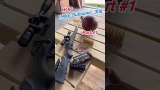 Subsonic Velocity 190gr 308 Speed Test HOPMunitions [upl. by Acinoryt]