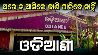 Hotel Odiani  Authentic Food Of Odisha  SatyaBhanja [upl. by Mort]