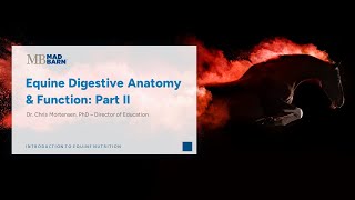 13  Digestive Anatomy Part 2  Introduction to Equine Nutrition  Mad Barn Academy [upl. by Vaios186]