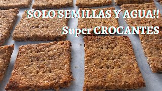 Crackers 👉 Sólo 1 Ingrediente Galletas de SEMILLAS Y AGUA Saludables y Sin glúten 👉 Recetas de Gri [upl. by Akcirred312]