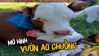 KIẾP NẠN THỨ 2  MANG MÔ HÌNH VƯỜN AO CHUỒNG VÀO LIÊN MINH [upl. by Genia]