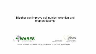 Biochar production from Invasive weeds for agricultural applications [upl. by Lorrie]