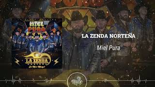 La Zenda Norteña  Miel Pura 2024 [upl. by Analos]