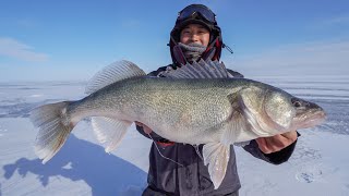 Ice Fishing The Walleye Capital of The World I CAUGHT A GIANT [upl. by Marijn]