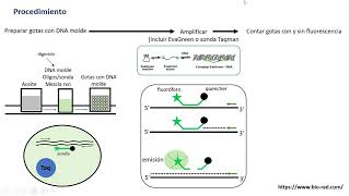 Droplet digital PCR ddPCR [upl. by River]