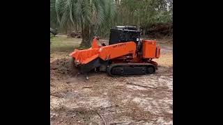 Carlton SP7015  Turbo Diesel Stump Grinder stumpgrinder [upl. by Romo]