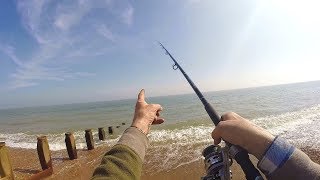 Beach Fishing Tips  Rigs Tips and Tactics for Plaice Fishing Flatfish [upl. by Floyd845]