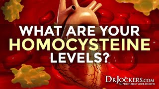 What are Your Homocysteine Levels [upl. by Retloc]