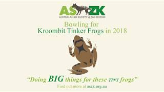 Kroombit Tinker Frogs 2018 [upl. by Saville]