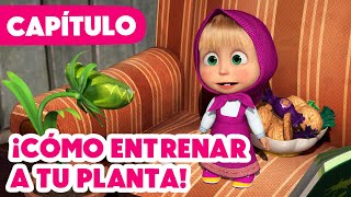 Masha y el Oso 💥 NUEVO CAPÍTULO 2024 💥 ¡Cómo entrenar a tu planta 😋🥀 Capítulo 99 [upl. by Emirak]