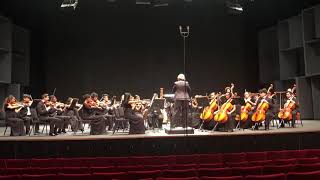 LHS Chamber Orchestra 2020 Festival Adagietto [upl. by Neelyaj416]