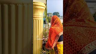 Tulsi Maiya ka Vivah 🙏🌺🪻☘️shortvideo vibha shorts trending Pammipujara [upl. by Allveta836]