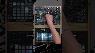 SQUARP JAM hapax synth squarp eurorack musicproduction [upl. by Petulah]