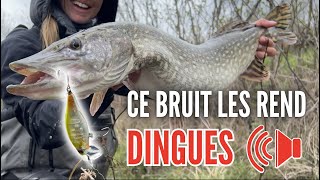 Un leurre BRUYANT pour pêcher le BROCHET en ÉTANG  🔊 [upl. by Hamilton]