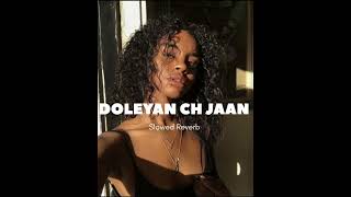 Jelly  DOLEYAN CH JAAN  Slowed Reverb  latest Punjabi song [upl. by Najar]