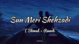 sun meri shehzadi SlowedReverb  Sun mari shehzadi song  lofi song  new song  RGOfficialsong [upl. by Paik]