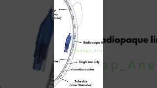 Endotracheal Tube  Parts [upl. by Kayla]