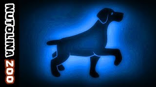 Blaffende hond geluid  Hunde bellen sound  Dog sound effect  Dźwięk psa [upl. by Gitt]