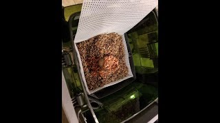 How to AFS BCB in canister filter the Lukeway  DIY way to get rid of nitrates [upl. by Lewis30]