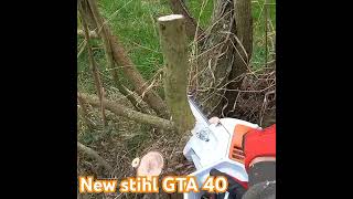 New Stihl GTA 40 pruner full review in spring stihl batterypowered pruning gifted [upl. by Llemar]