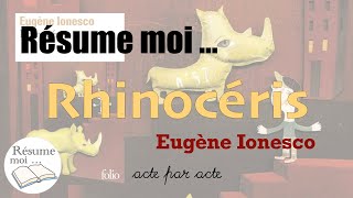 Rhinocéros  Eugène Ionesco  Résumé acte par acte [upl. by Assiralk778]