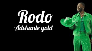 Rodo  Adekunle gold lyrics video [upl. by Refitsirhc]