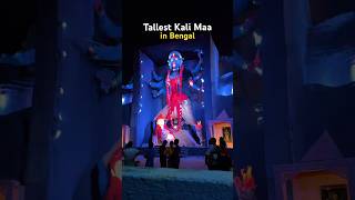 Tallest Kali maa in Bengal  kolkata trending kali reels youtubeshorts calcutta shorts [upl. by Sitoel744]