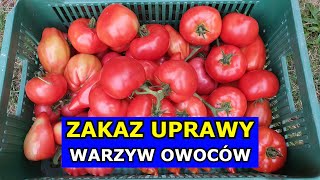 Czy będzie Zakaz Uprawy Warzyw i Owoców we Własnych Ogródkach Przydomowych Zielony Ład Ślad węglowy [upl. by Trula125]