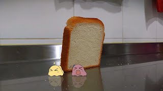 Bread falling over bocchi [upl. by Greggory331]