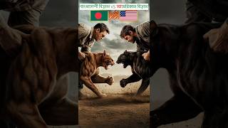 Bangladeshi Cat VS American Cat Fighting🔥😱 shorts ytshorts youtubeshorts trendingshorts cat [upl. by Ecad385]