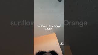 sunflower  Rex Orange County songcover cover rexorangecountry [upl. by Ellennahs]