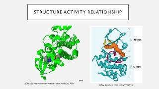 BCRABL Tyrosine Kinase Inhibitors  NC SE TS [upl. by Goulette]