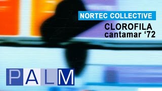 Nortec Collective Clorofila  Cantamar 72 [upl. by Esertak]