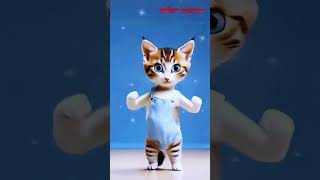 Cat sound catts catlover cat cats trending tiktok youtube reels viralvideo kitten yt new [upl. by Rachelle]