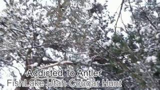 2017 Fishlake Cougar Hunt [upl. by Brandon833]