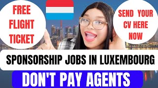 Free Luxembourg 🇱🇺 Work Visa  You Dont Need IELTS  Move With Your Family [upl. by Enwad]