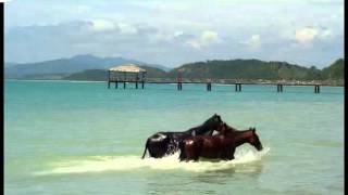 Piel Roja Desde Jama Manabi Con Las Mejores Mesclas y Una Tremenda Animacion [upl. by Louls83]