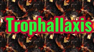 Trophallaxis [upl. by Tammara]