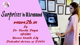 Ultrasound What It Is Purpose Procedure amp Results  Dr Sheetal Dayal  Mum2b [upl. by Lorac]