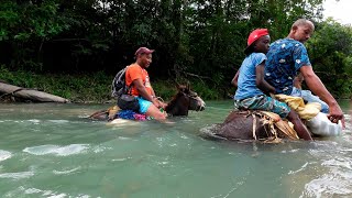 Con el rio hondo Vamos a Medre Vieja donde Maritza La vida del campo [upl. by Cybil]