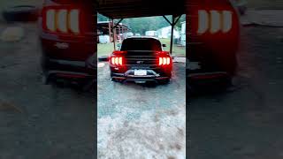 Straight pipe x resonater delete cold start mustang coldstart v8 [upl. by Bunting]