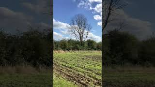 Walking on Chiltern Way footpath between Redbourn and Flamstead green rolling fields walking [upl. by Neyugn]