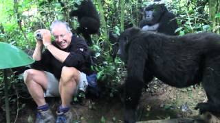 Extraordinary Encounter with Mountain Gorillas in Bwindi Uganda [upl. by Nyleimaj202]