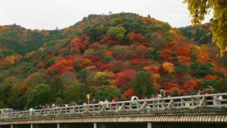 Timelapse HD movie in autumn red color season kyoto [upl. by Roumell]