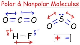 Polar and Nonpolar Molecules [upl. by Aurilia629]