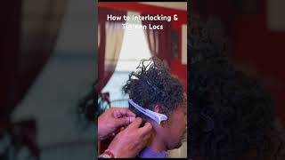 How to Interlock Locs Using the Y Technique dreadlocks interlockingdreadlocks [upl. by Mcdermott]