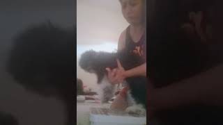 tinry na kilos uli c Ka chaka Dabyana dahil sa pabigat ng pabigat 5months old 13 kilos 😓😄😄 [upl. by Terrena245]