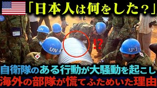 【海外の反応】「日本人たちは何をしたんだ」自衛隊が支援した村で起きた前代未聞の事件に海外が驚愕 [upl. by Salene]