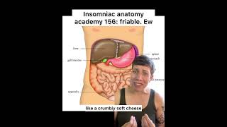 Insomniac anatomy academy 156 friable science anatomy sciencefacts bodies medicineexplained [upl. by Raviv]